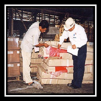 Cargo Surveying Services - Visual Inspection & Detailed Reports | Reliable Compliance with Legal Standards, Expert Cargo Domain Knowledge, Timely and Accurate Reporting