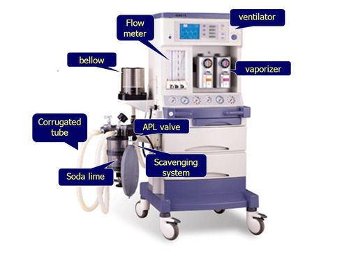 Anesthesia Machine Gender: Men
