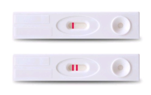Pregnancy Test Cards