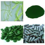 Spirulina Powder & Capsules - High-Protein Natural Algae Supplement | Packed with Antioxidants and B-Vitamins