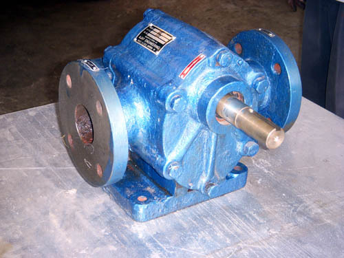 External Gear Pump - Graded Cast Iron & Stainless Steel | Spur & Helical Gears, Multi-Seal System, Versatile Bearing Options