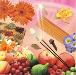 Herbal Incense Stick - Premium Variety Pack with Floral, Fruity, and Spicy Scents | Customized Gift Options and Long-Lasting Fragrance
