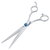 Stainless Steel Scissor